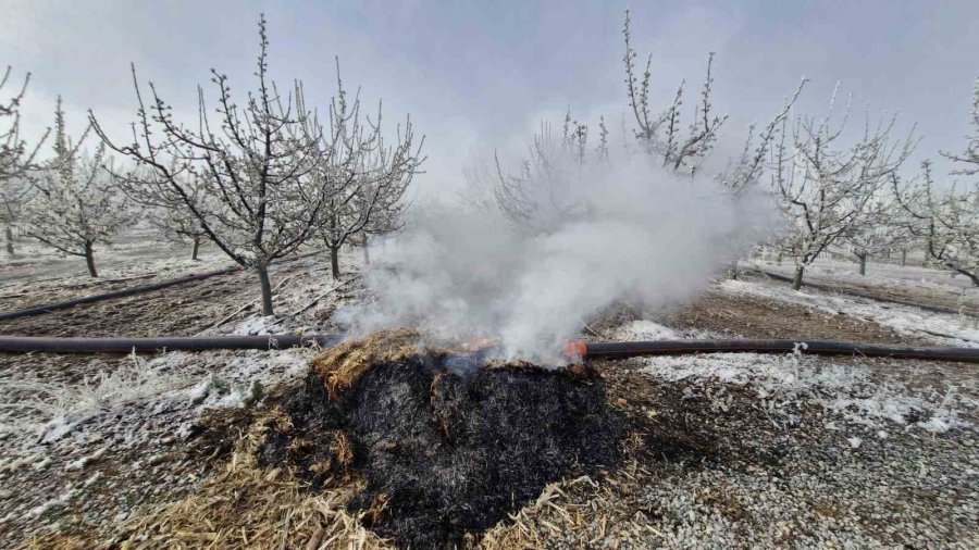 Karaman’da 16 Milyon Elma Ağacını Don Vurdu