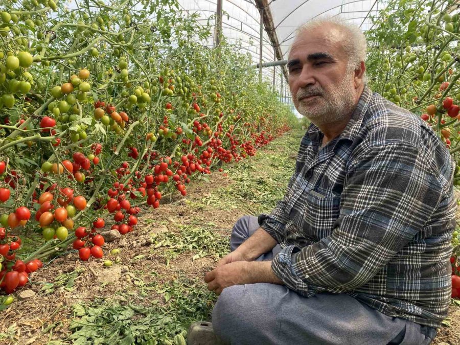 Üreticiden Fiyat Farkına Tepki: "domates Bizden 15 Tl’ye Alınıyor Marketlerde 70 Tl’ye Satılıyor. Aradaki Farkı Kim Yiyor"