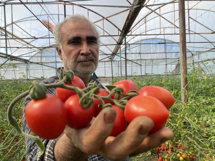Üreticiden Fiyat Farkına Tepki: "domates Bizden 15 Tl’ye Alınıyor Marketlerde 70 Tl’ye Satılıyor. Aradaki Farkı Kim Yiyor"