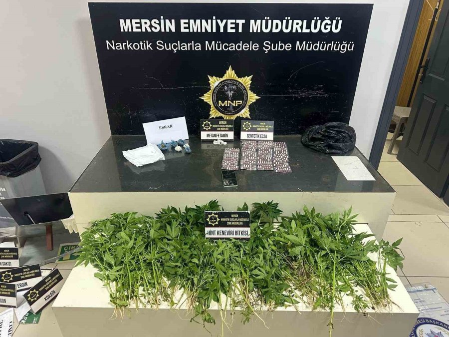 Mersin’de Uyuşturucu Taciri 42 Şüpheli Tutuklandı