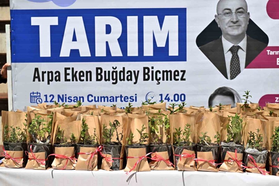 Başkan Uysal, "türkiye Tarımı Yeniden İnşa Etmeli"