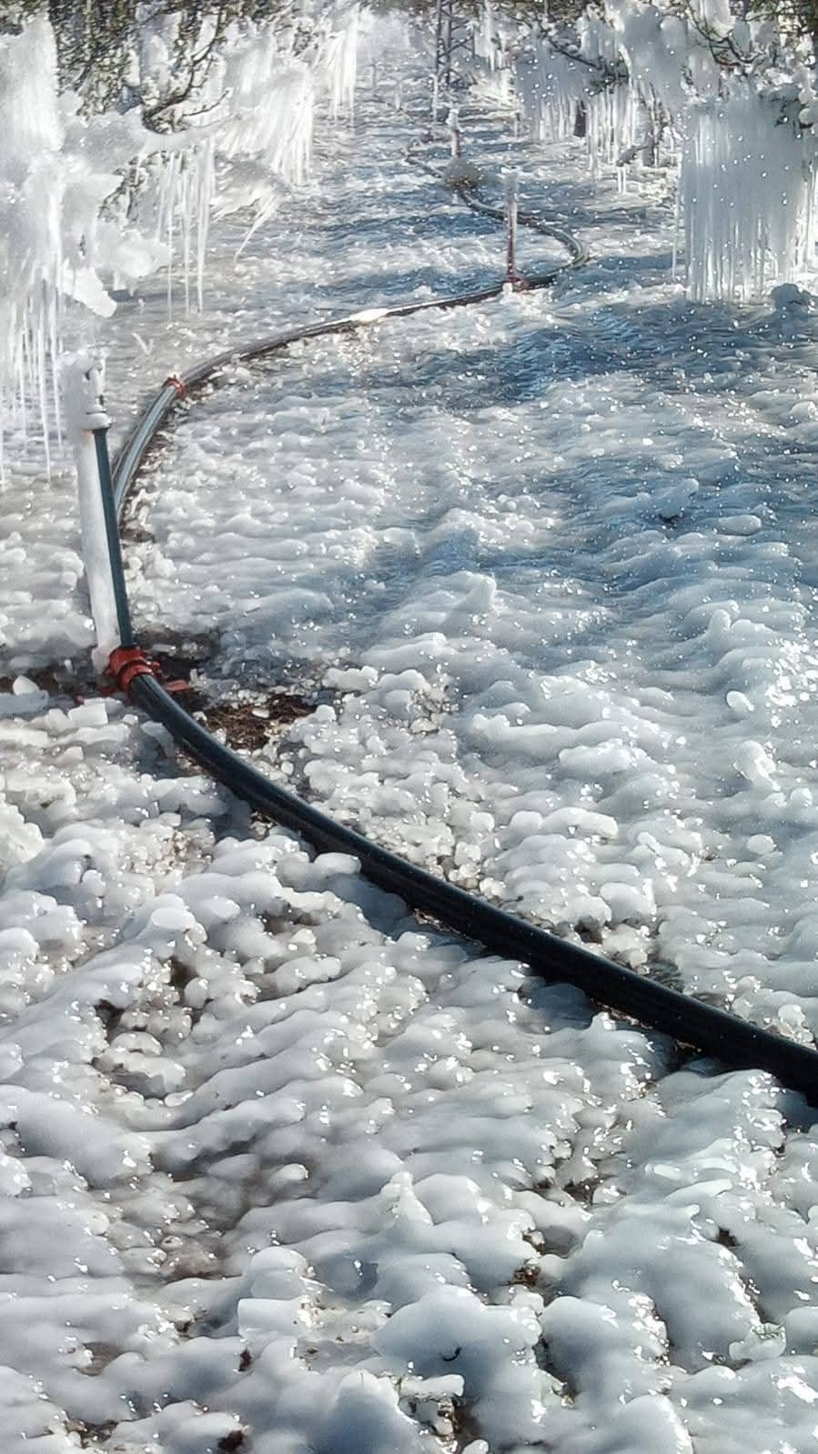 Kayseri’nin İlçelerini Don Vurdu