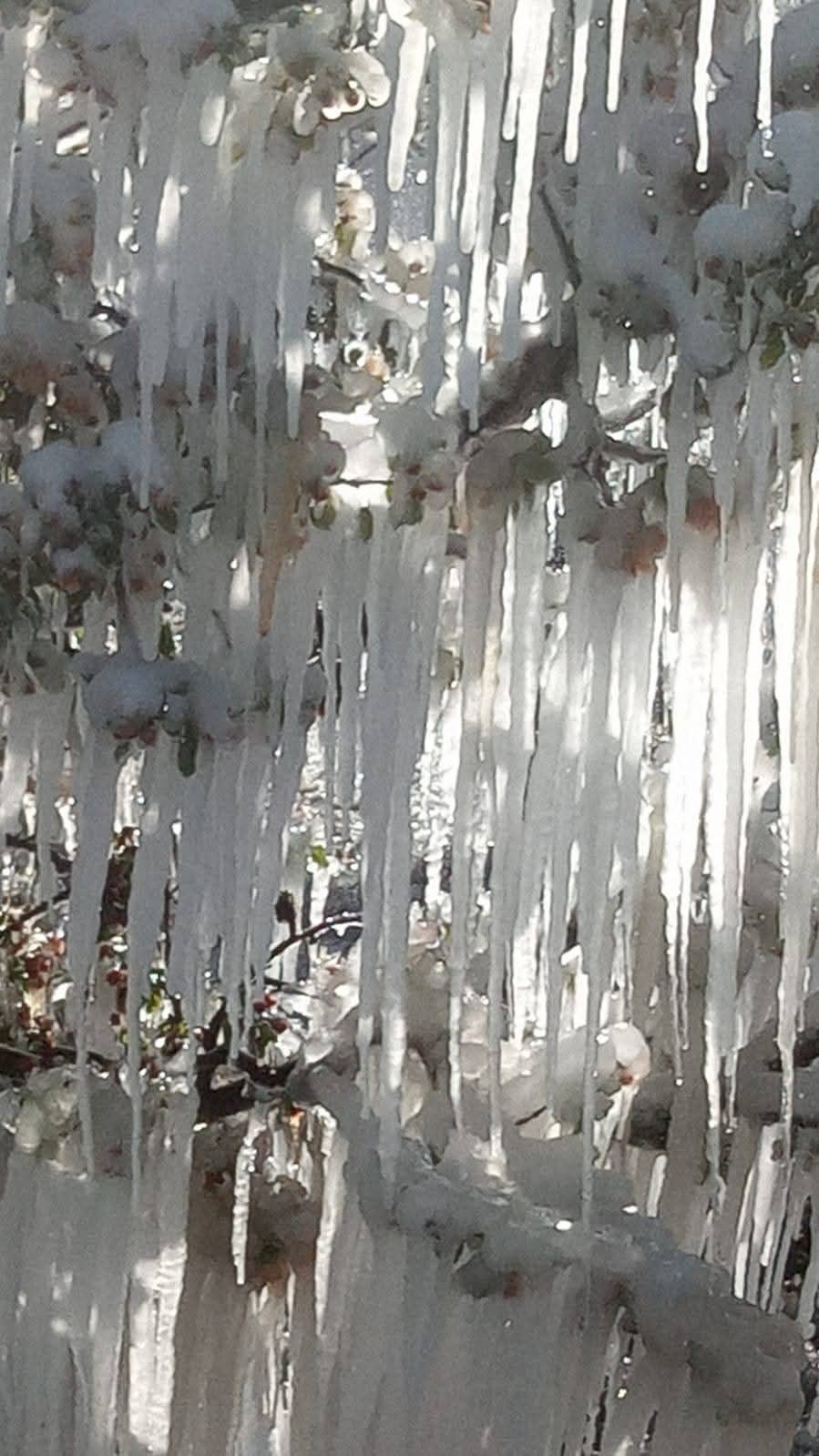 Kayseri’nin İlçelerini Don Vurdu