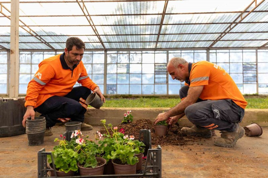 Mersin’de Organik Atıklardan Kompost Üretimi Sürüyor