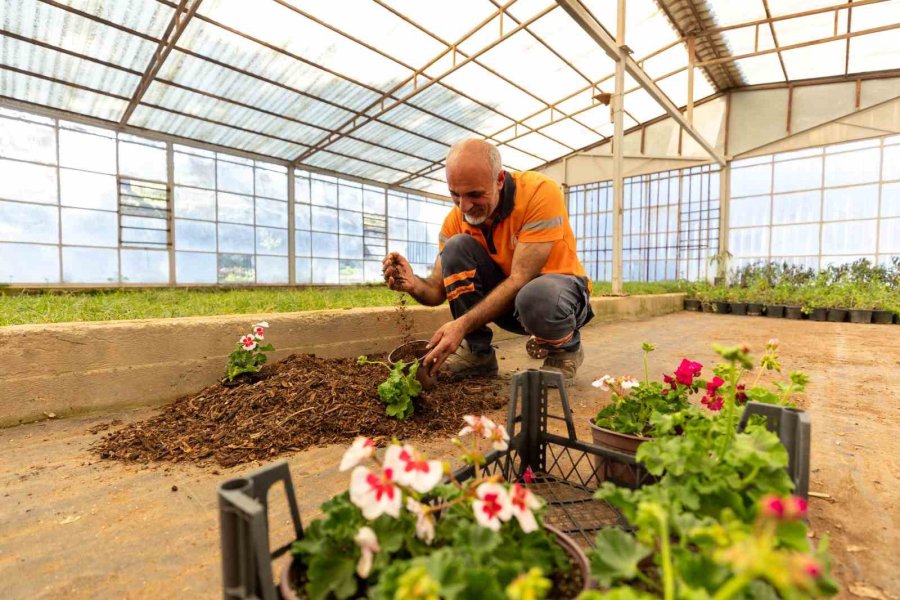 Mersin’de Organik Atıklardan Kompost Üretimi Sürüyor