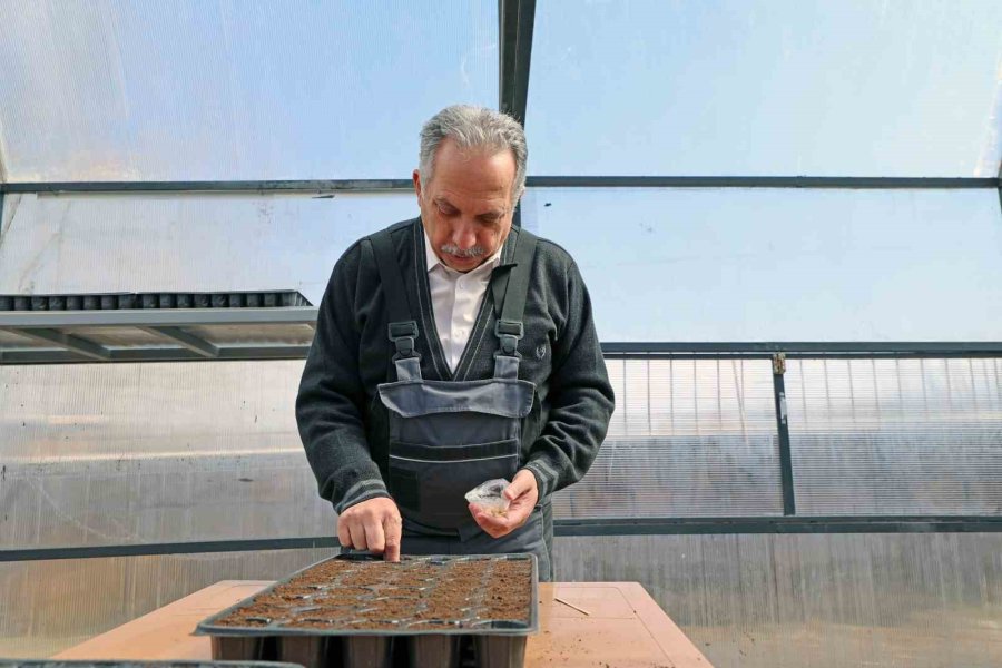 Başkan Yalçın Tulumu Çekti, Tohumları Toprakla Buluşturdu