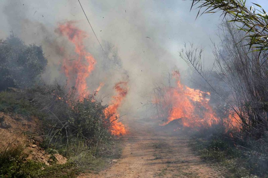 Antalya’nın Akciğerlerinde Korkutan Yangın