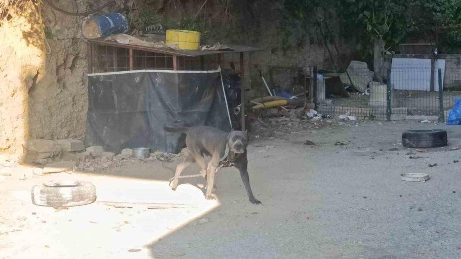 Böylesi İlk Defa Görüldü, Motosikletini Sakladığı Yer Jandarmayı Bile Şaşkına Çevirdi