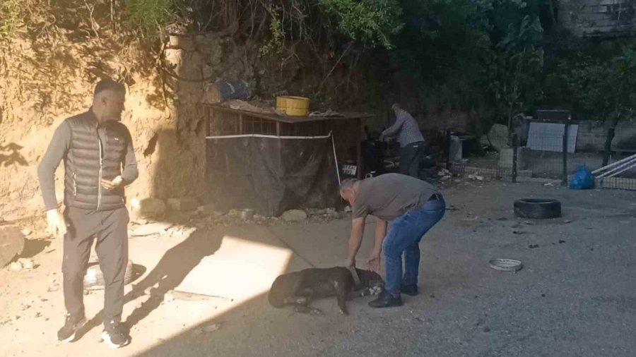 Böylesi İlk Defa Görüldü, Motosikletini Sakladığı Yer Jandarmayı Bile Şaşkına Çevirdi