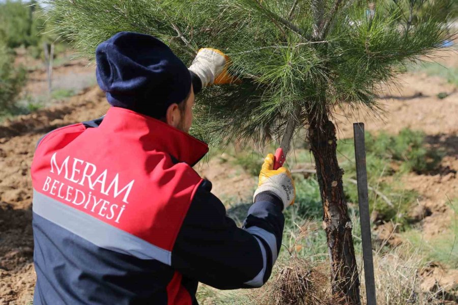Meram’da Tüm Yeşil Alanlar Yaza Hazırlanıyor