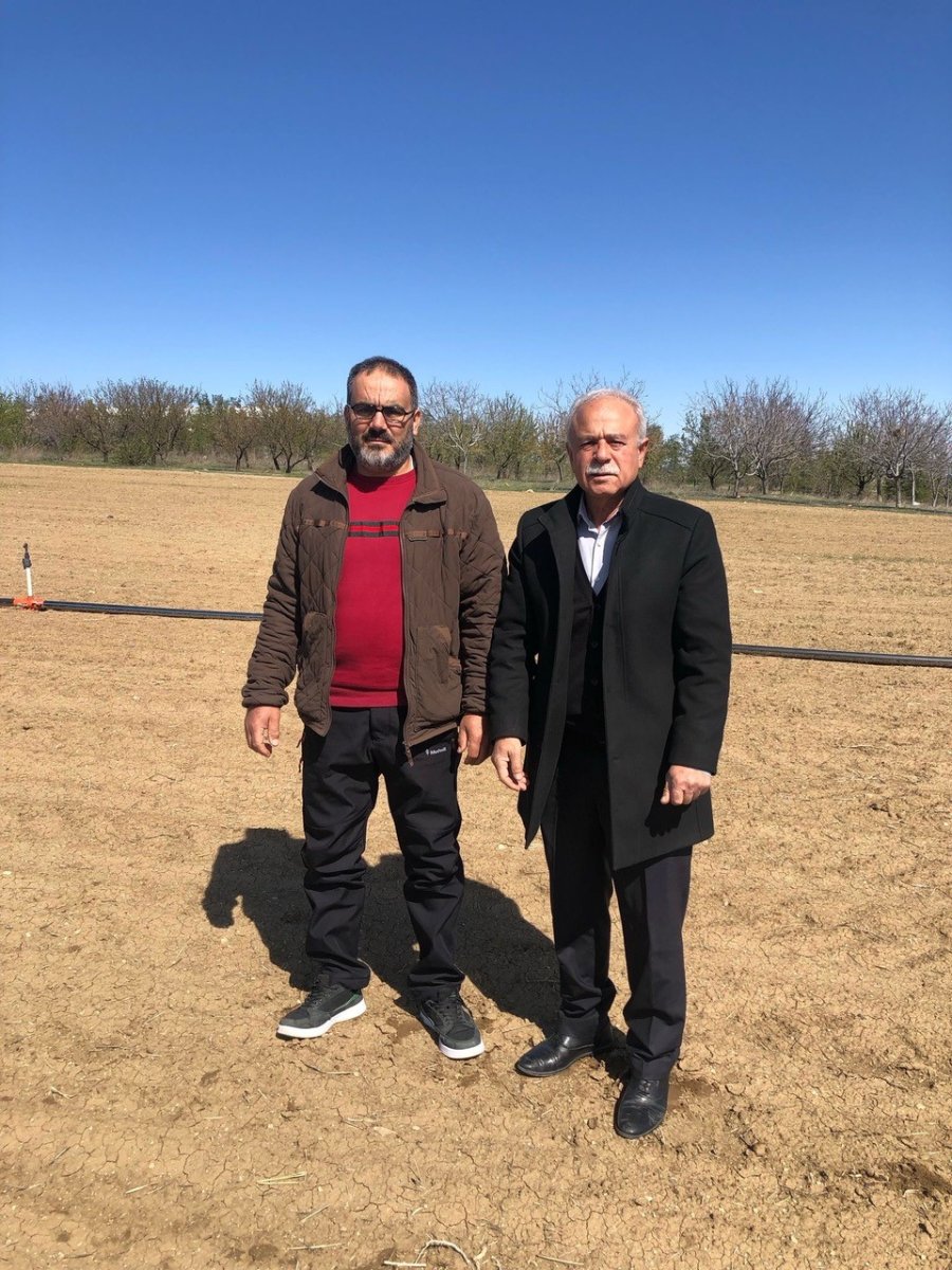 Kulu’da Ekili Arazilerin Don Tespit Çalışmaları Devam Ediyor