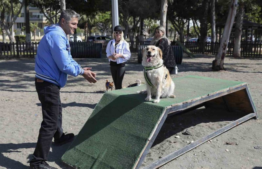 Mersin’den Patili Dostlara Özel Oyun Parkı