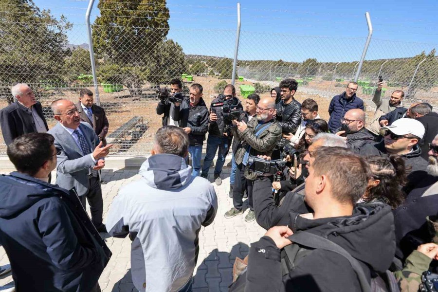 Meram Belediyesinden Sahipsiz Köpek Sorununa İnsani Ve Vicdani Çözüm
