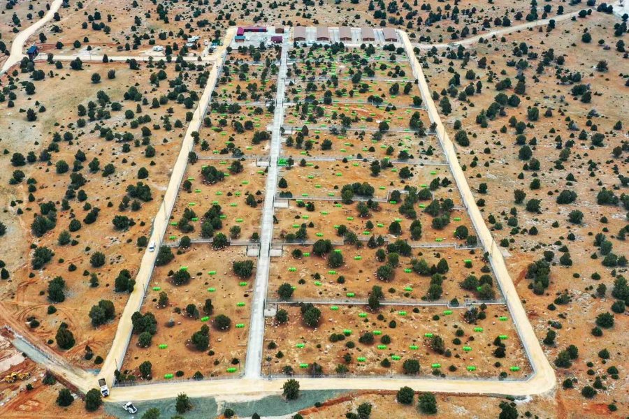 Meram Belediyesinden Sahipsiz Köpek Sorununa İnsani Ve Vicdani Çözüm