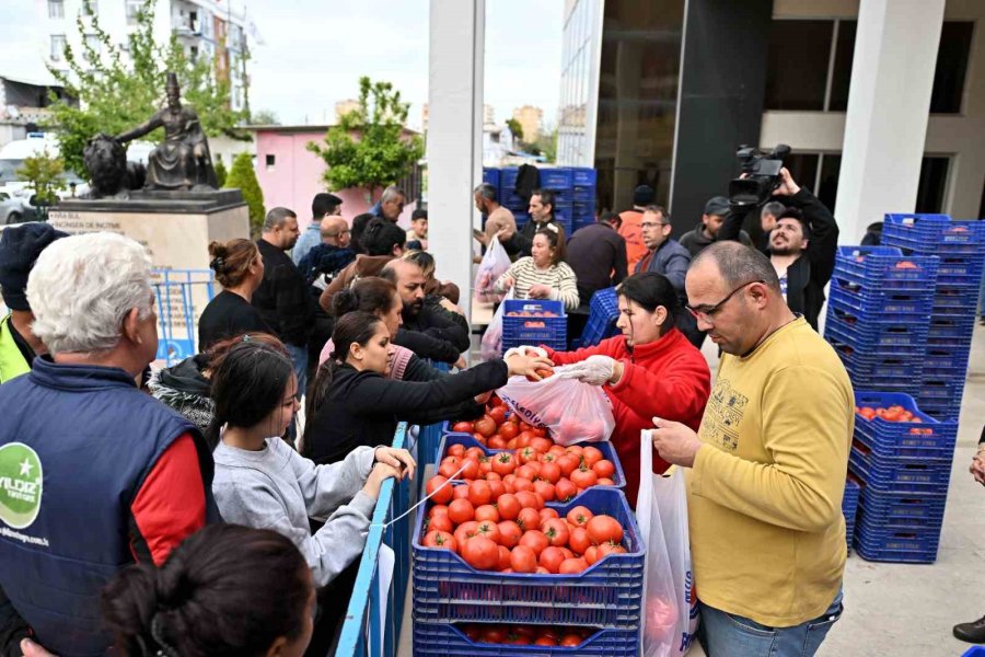 Zirai Dona Karşı Muratpaşa’dan 10 Tonluk Domates Desteği
