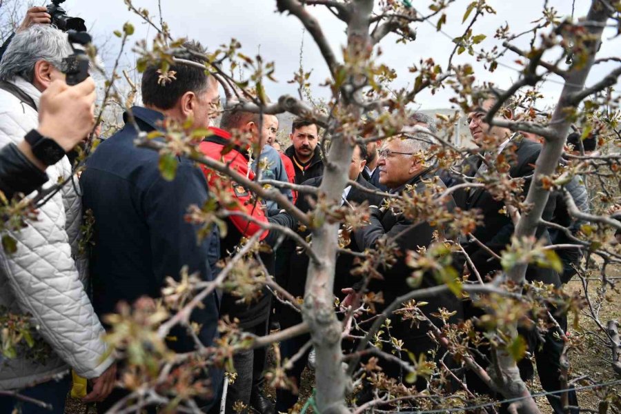 Başkan Büyükkılıç, Zirai Dondan Etkilenen Üreticileri Yalnız Bırakmadı