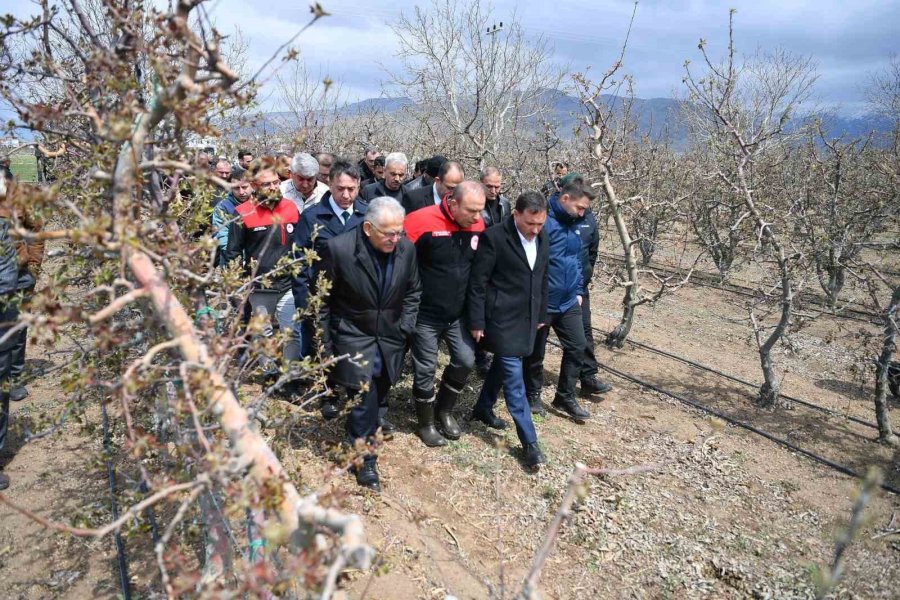 Başkan Büyükkılıç, Zirai Dondan Etkilenen Üreticileri Yalnız Bırakmadı
