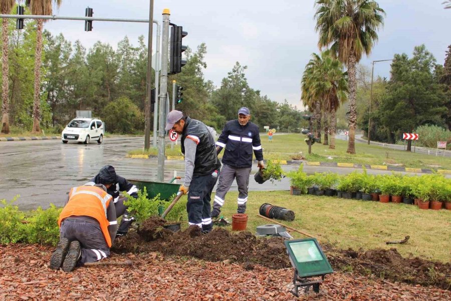 Büyükşehir’den Kemer’de Peyzaj Çalışması