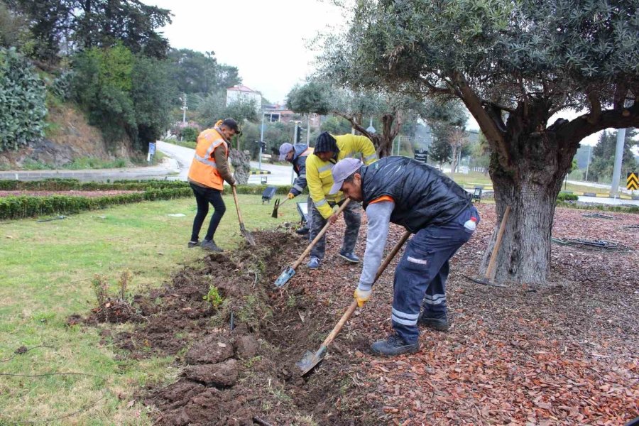 Büyükşehir’den Kemer’de Peyzaj Çalışması