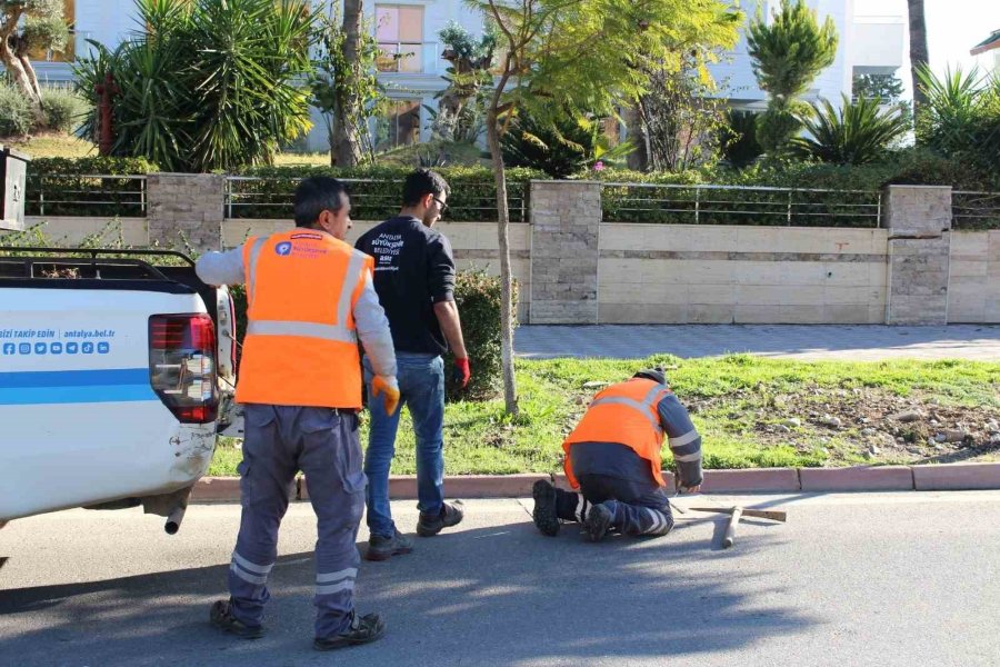 Büyükşehir’den Kemer’de Peyzaj Çalışması