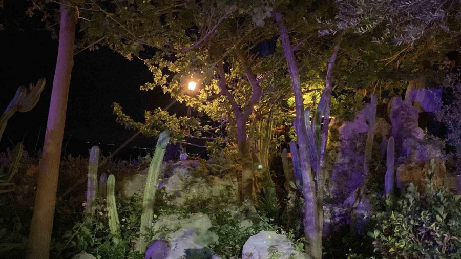 Sevgilisiyle Tartışıp 25 Metrelik Falezlere Çıktı, 2,5 Saatte İkna Edilebildi