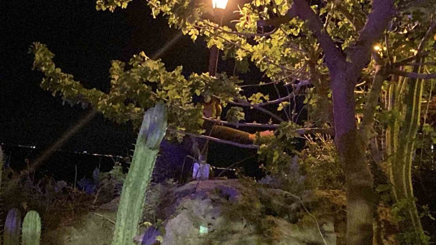 Sevgilisiyle Tartışıp 25 Metrelik Falezlere Çıktı, 2,5 Saatte İkna Edilebildi