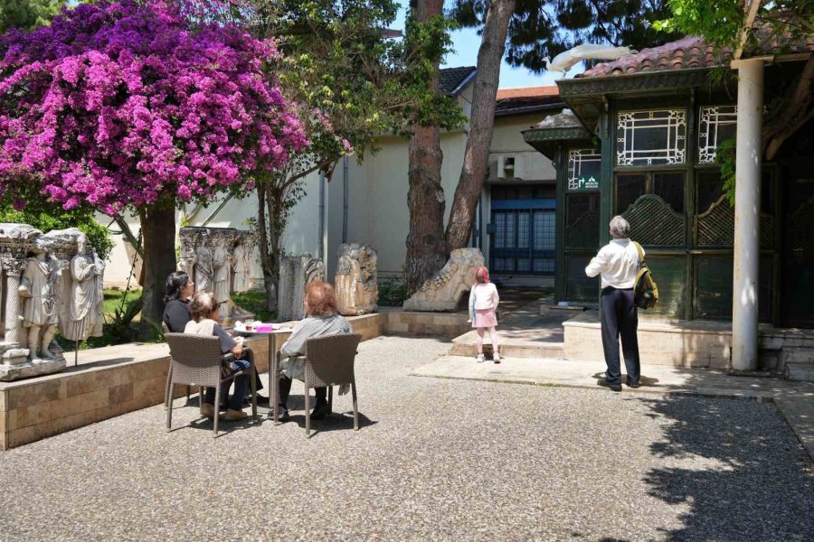 Antalya Arkeoloji Müzesi’nin Renkli Nöbetçileri Tavus Kuşları