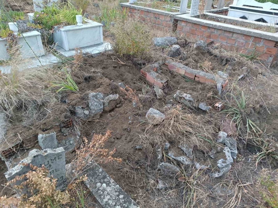 Yaban Domuzları Mezarlara Zarar Verdi, Mahalleli Tel Örgü İstedi