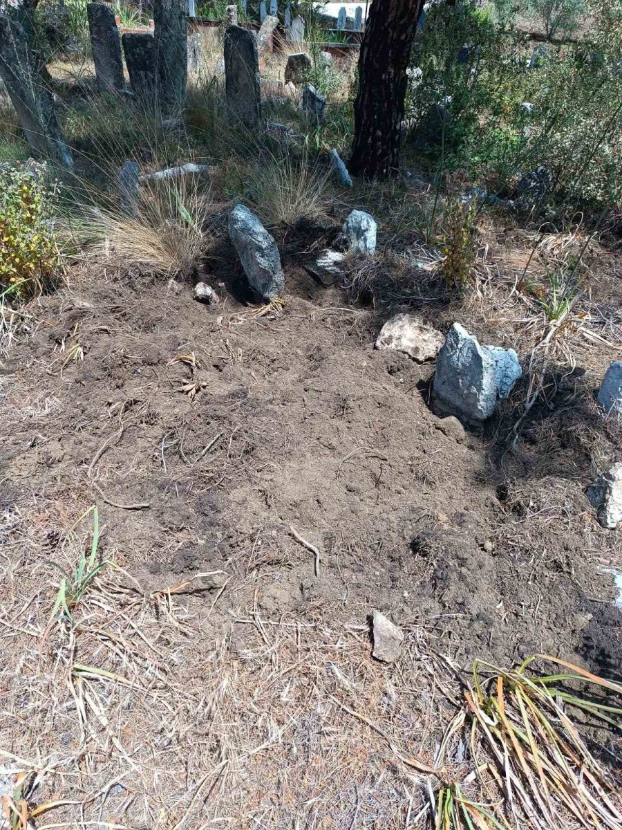 Yaban Domuzları Mezarlara Zarar Verdi, Mahalleli Tel Örgü İstedi