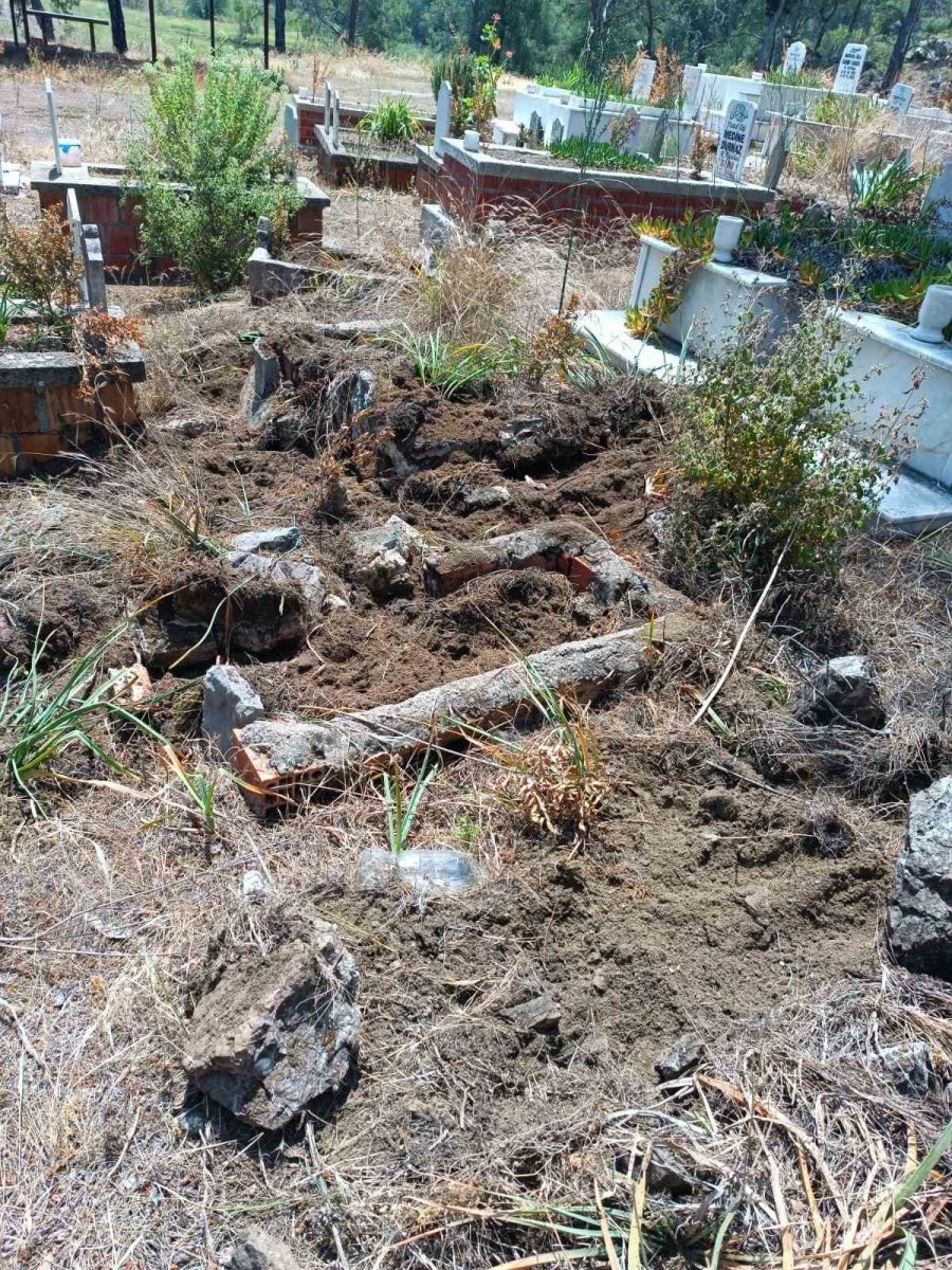 Yaban Domuzları Mezarlara Zarar Verdi, Mahalleli Tel Örgü İstedi