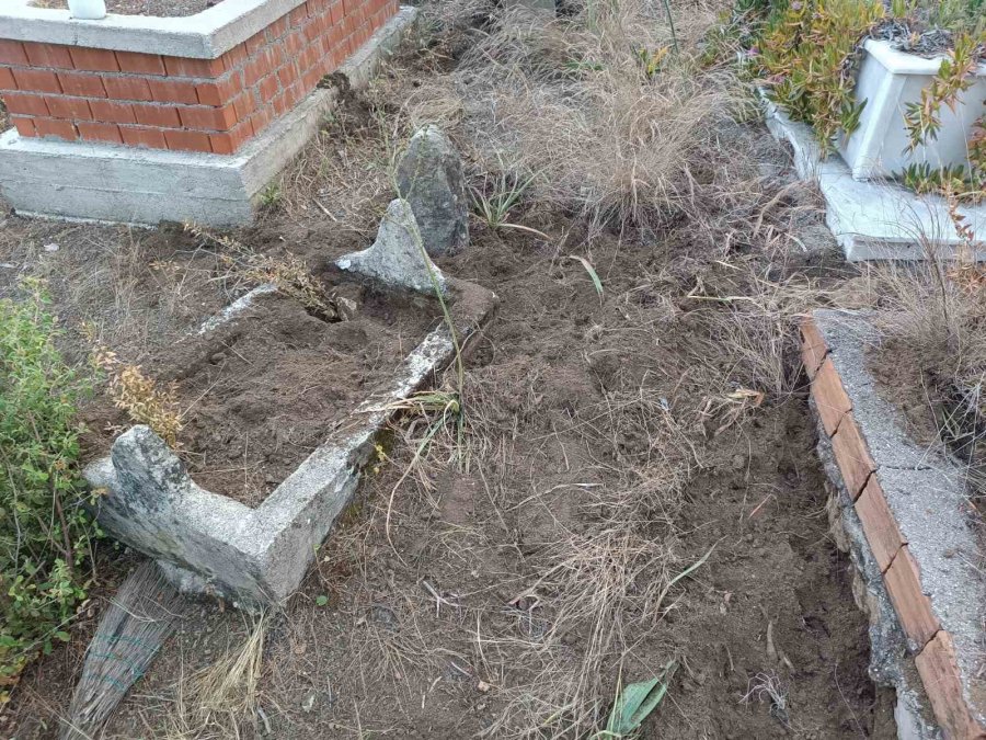 Yaban Domuzları Mezarlara Zarar Verdi, Mahalleli Tel Örgü İstedi