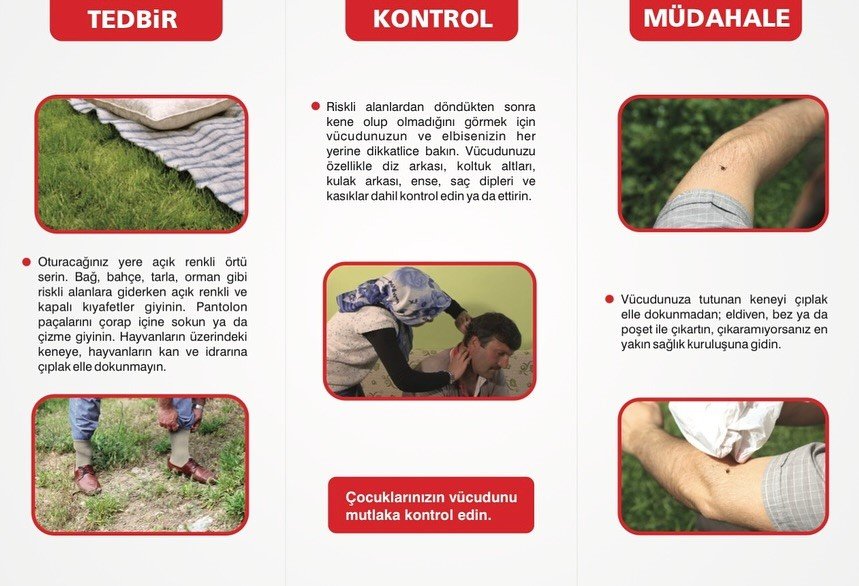 Bahar Geldi, Piknik Sezonu Açıldı, Hayati Kene Uyarıları