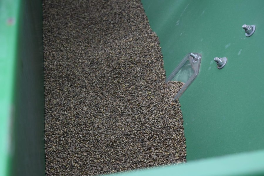 Konya’da Kenevir Ekimi Başladı