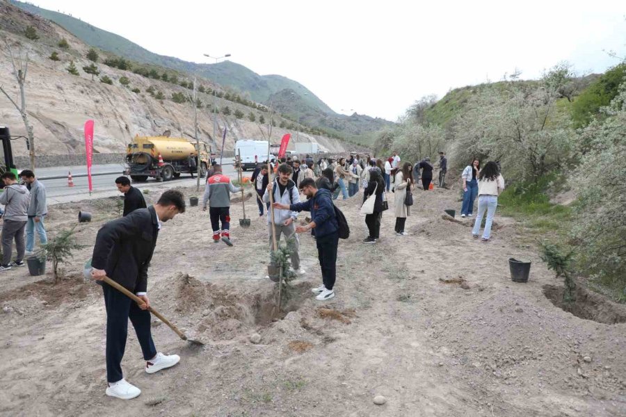 Melikgazi’nin Yeşil Dokusu Güçleniyor
