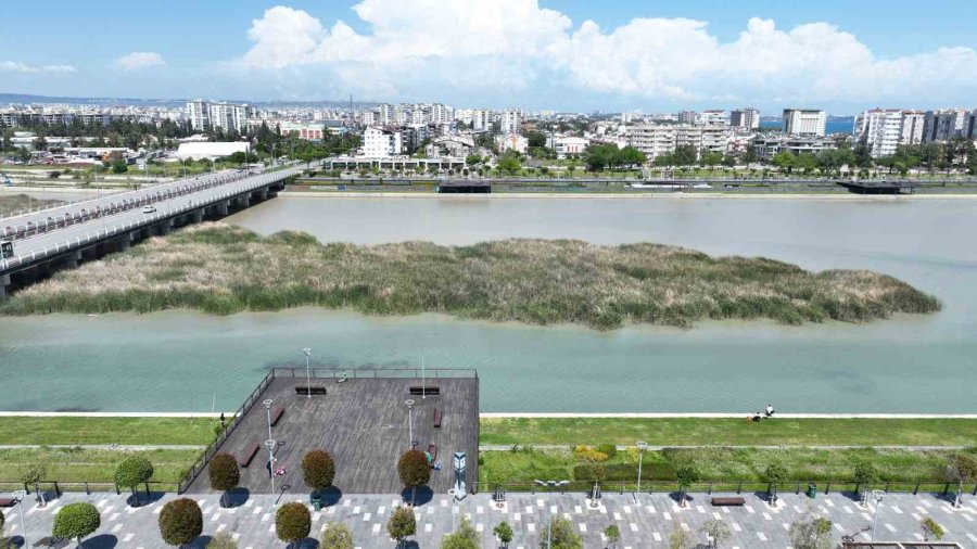 Boğaçayı’nda Yeni Canlı Türlerine Yakın Takip