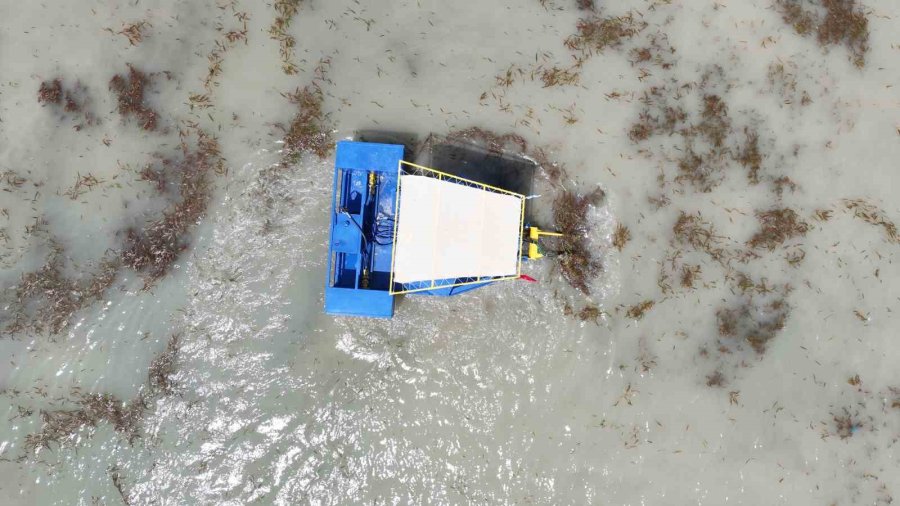 Boğaçayı’nda Yeni Canlı Türlerine Yakın Takip