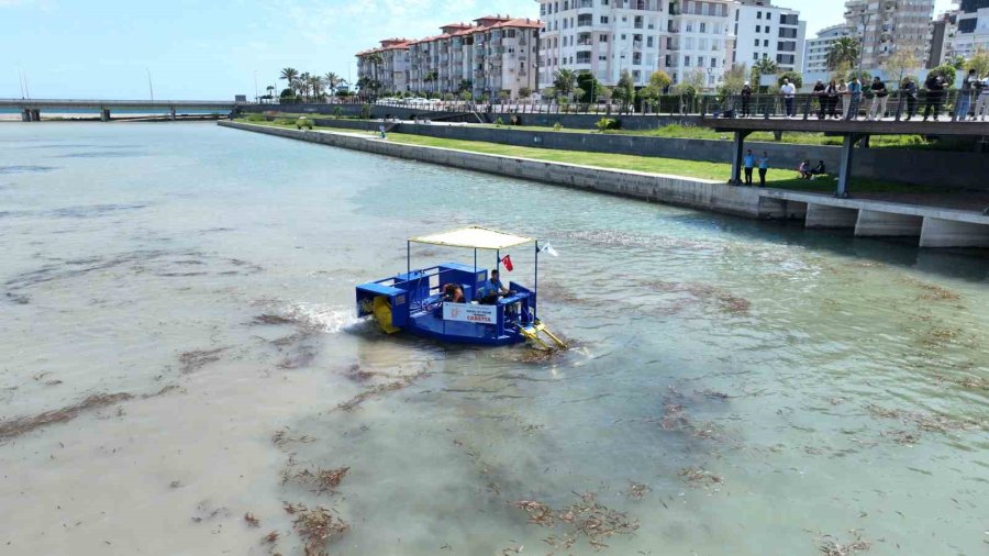 Boğaçayı’nda Yeni Canlı Türlerine Yakın Takip
