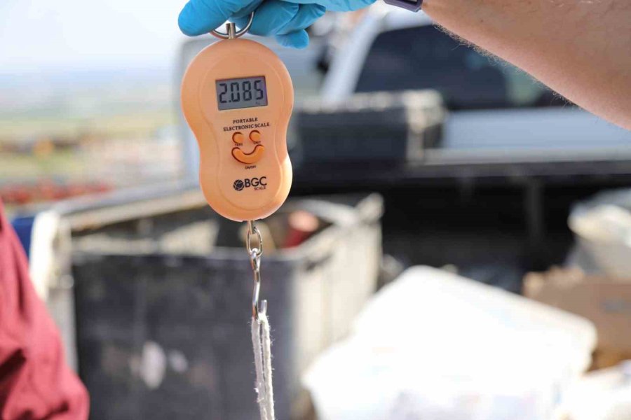 Akbaba Midas 101 Bin Kilometre Uçtu