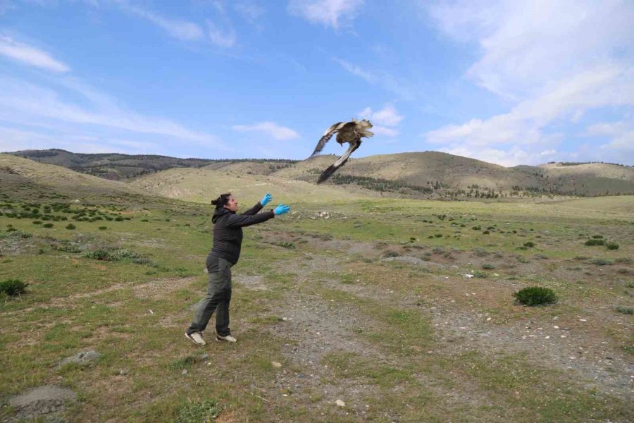 Akbaba Midas 101 Bin Kilometre Uçtu