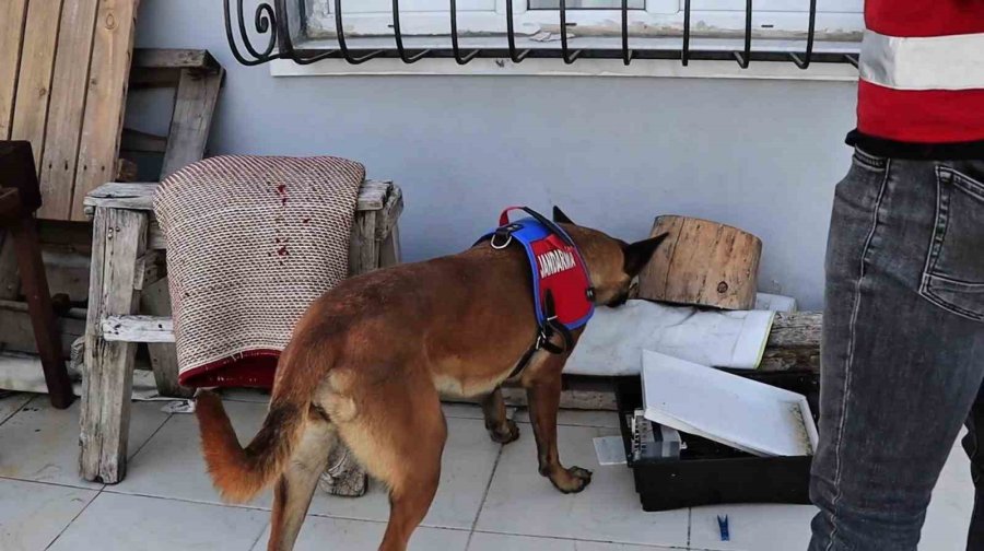 Mersin’de Torbacılara Yönelik Operasyon: 84 Tutuklama