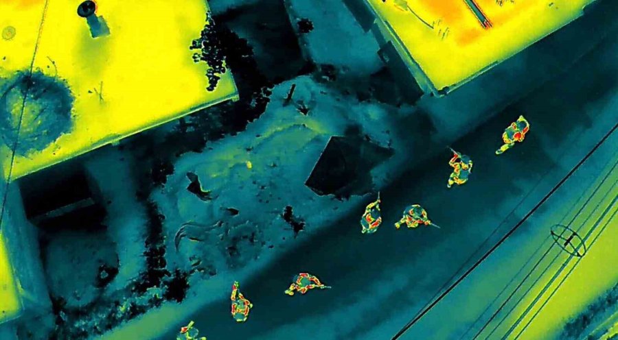 Mersin’de Torbacılara Yönelik Operasyon: 84 Tutuklama