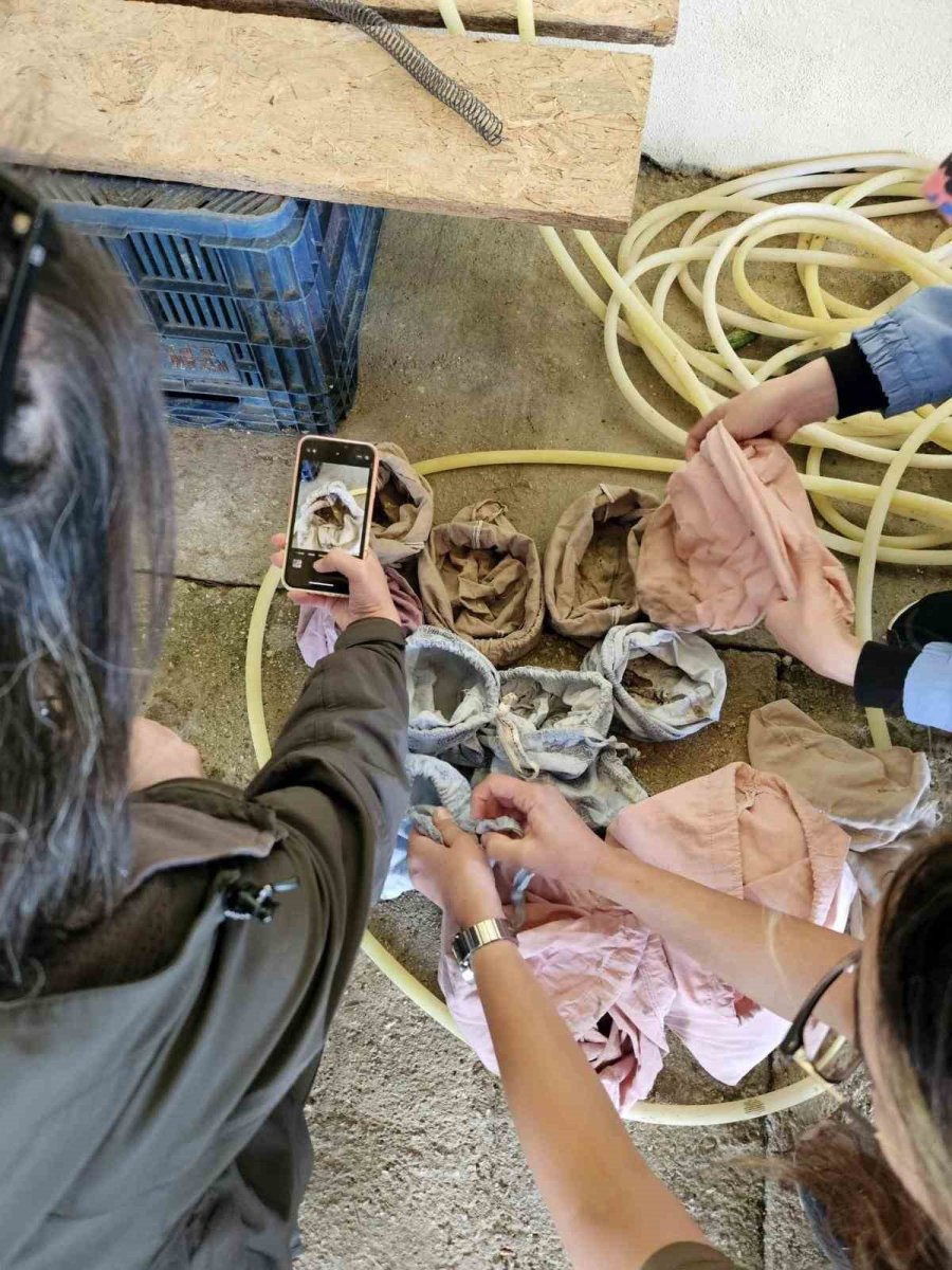 Kuşlar Üzerinde İzinsiz Araştırma Yapan 4 Şahıs Yakalandı