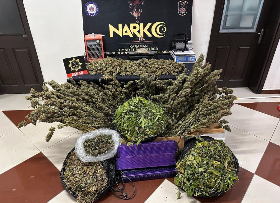 Kenevir Yetiştirilen Gizli Seraya Polis Baskını: 1 Tutuklama