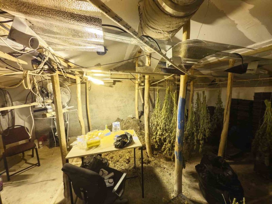 Kenevir Yetiştirilen Gizli Seraya Polis Baskını: 1 Tutuklama