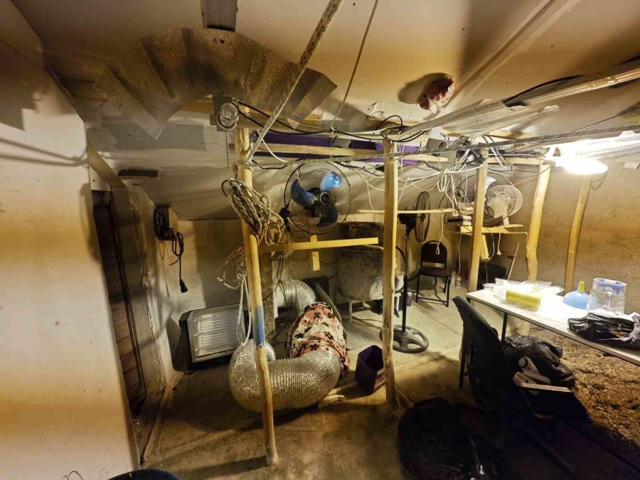 Kenevir Yetiştirilen Gizli Seraya Polis Baskını: 1 Tutuklama