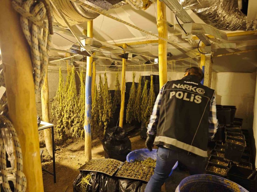 Kenevir Yetiştirilen Gizli Seraya Polis Baskını: 1 Tutuklama