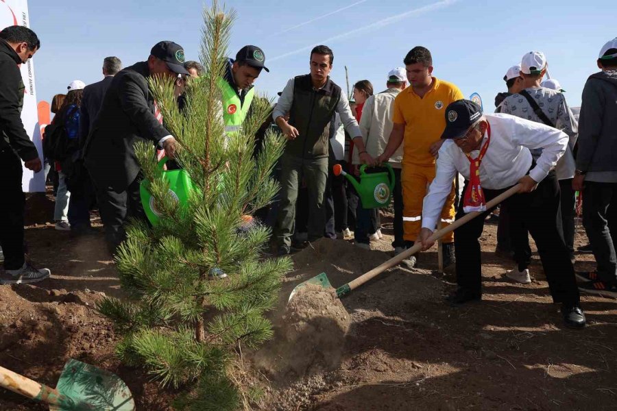 Büyükşehirden 6 Yılda 750 Bin Fidan İle Kayseri’ye ’yeşil’ Katkı