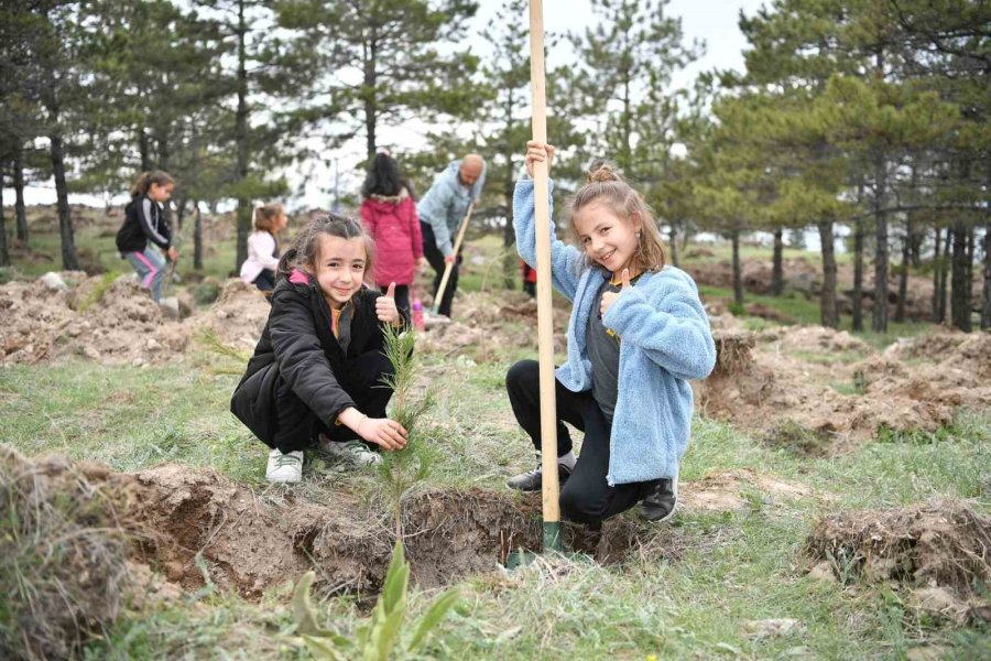 Büyükşehirden 6 Yılda 750 Bin Fidan İle Kayseri’ye ’yeşil’ Katkı