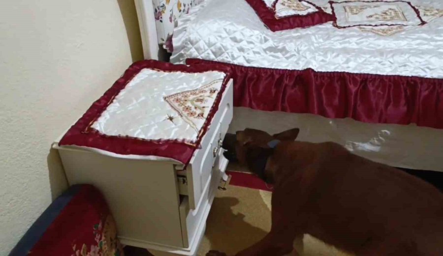 Jandarmadan Uyuşturucu Operasyonu: 3 Tutuklama