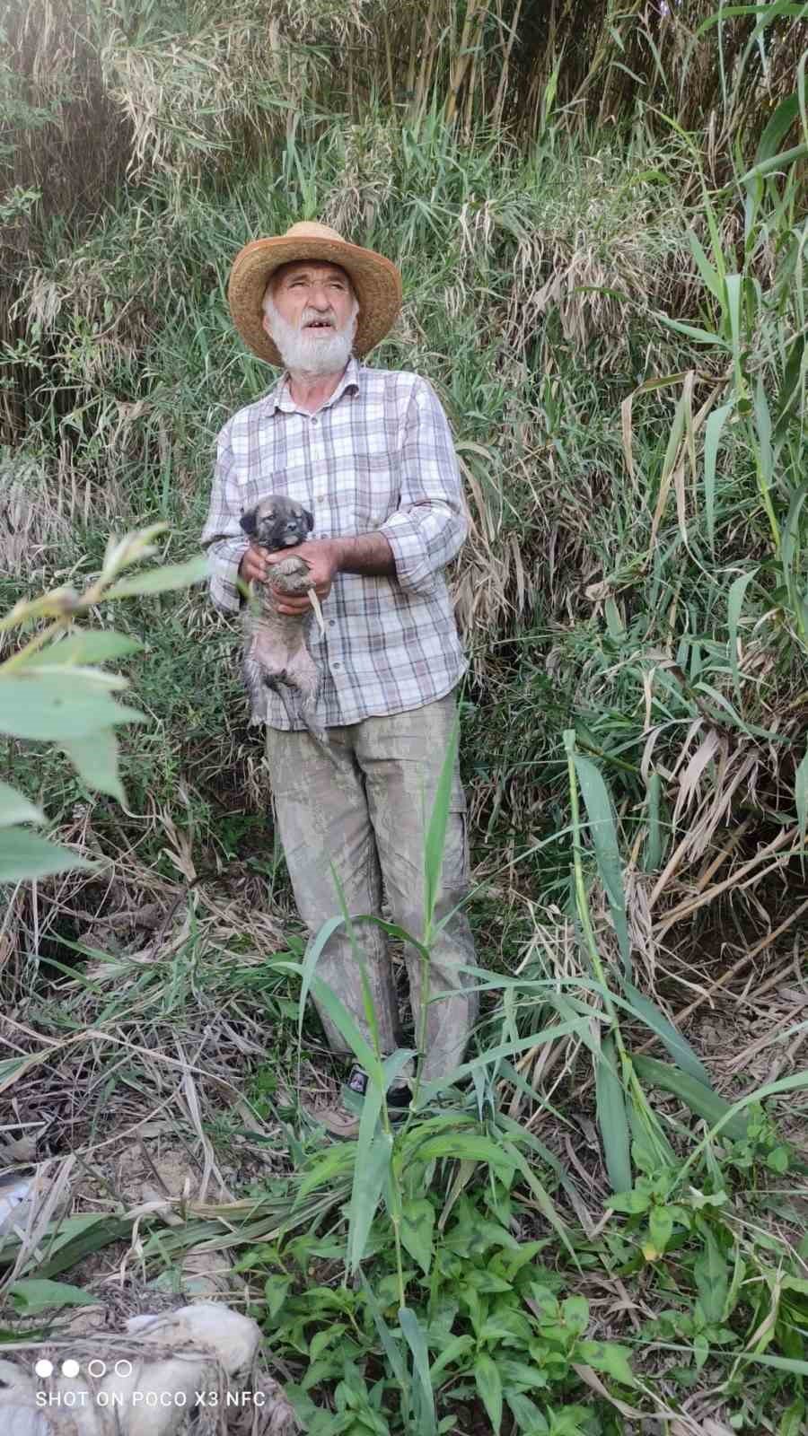 Su Kenarında Mahsur Kalan Köpeği İtfaiye Kurtardı